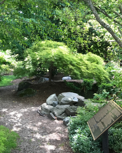 Japanese Garden_400x500.png